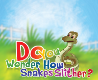 How Snakes Slither