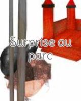 Surprise au parc 