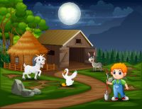 أنس مع المعزة بركة