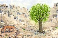 Mr. Coyote meets Mr.Snail