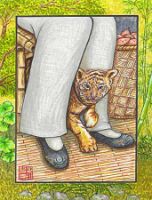 Tiger Son
