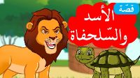 الأسد والسلحفاة | فيديو