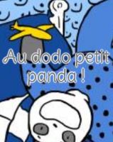 Au dodo petit panda
