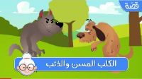 الكلب المسن و الذئب