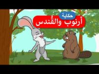 ارنوب و القندس