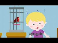 الطائر الذي لا ينام