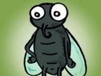 La mouche qui voulait être un papillon 