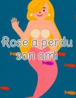 Rose a perdu son ami