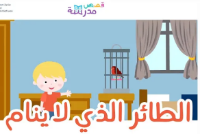 الطائر الذي لا ينام